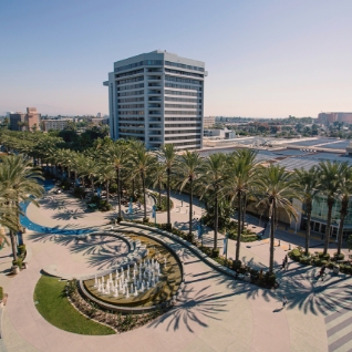 Agencias de renta de vehículo en Anaheim, California.