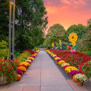 Cuál es la mejor empresa de alquiler de carros en Atlanta