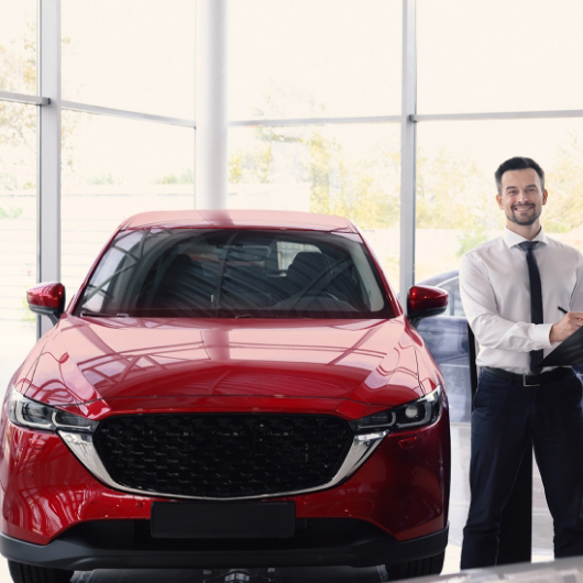 Dollar car rental agencies in Mexico