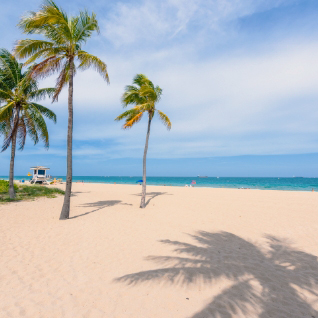 Reliable car rental agencies in Fort Lauderdale