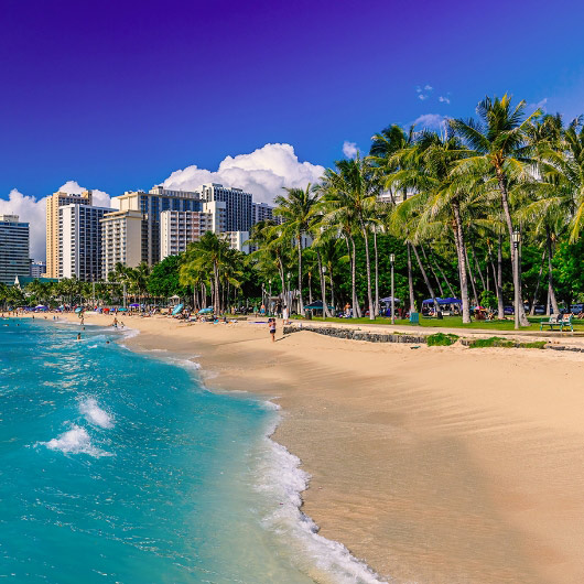 Te conectamos con las compañías de renta de coches más prestigiosas de Honolulu