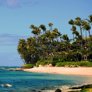 Elige las compañías de renta de autos más confiables en Honolulu, HI