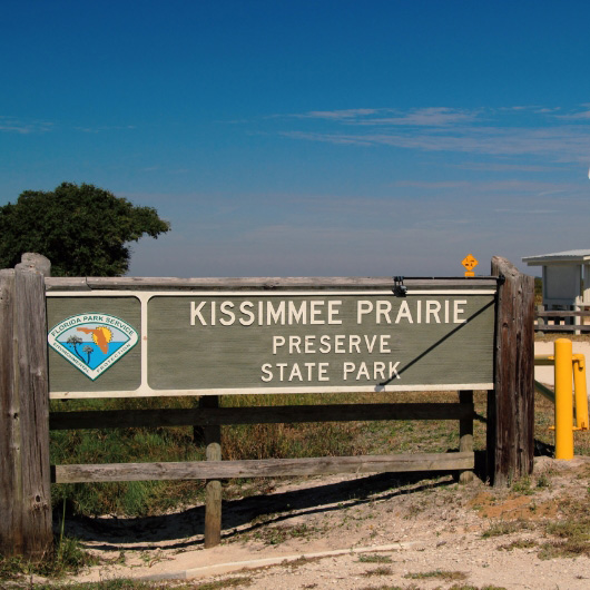 Cuáles son las empresas de alquiler de autos más baratas de Kissimmee