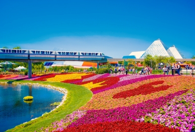 Cheap car rental in Kissimmee