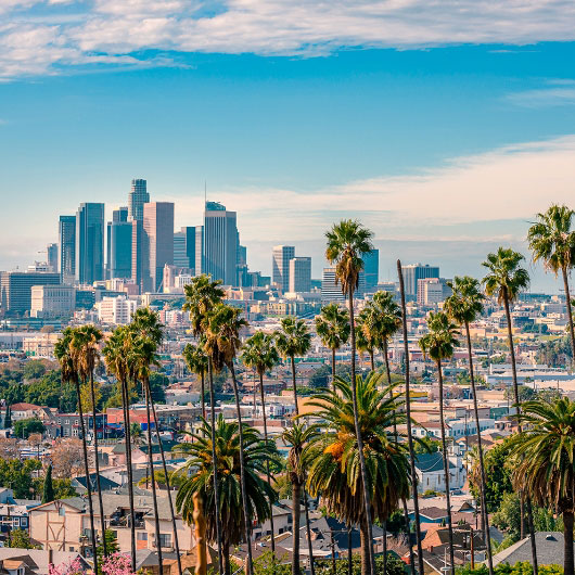 Discover the best car rental companies at Los Angeles International Airport LAX