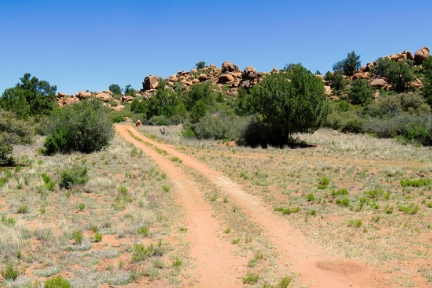 Aluguel de carros em North Central, Phoenix