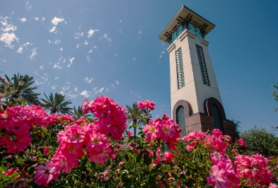 Renta de vehículos baratos en Ontario