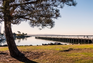 Veículos para alugar em Chula Vista, Califórnia