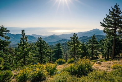 Alquiler de carros en Santa Rosa