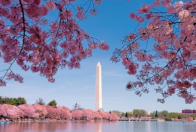 Aluguel de carros baratos em Washington