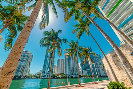 Get around Miami in a rental car